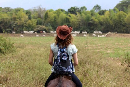 Cali: Horseback Riding