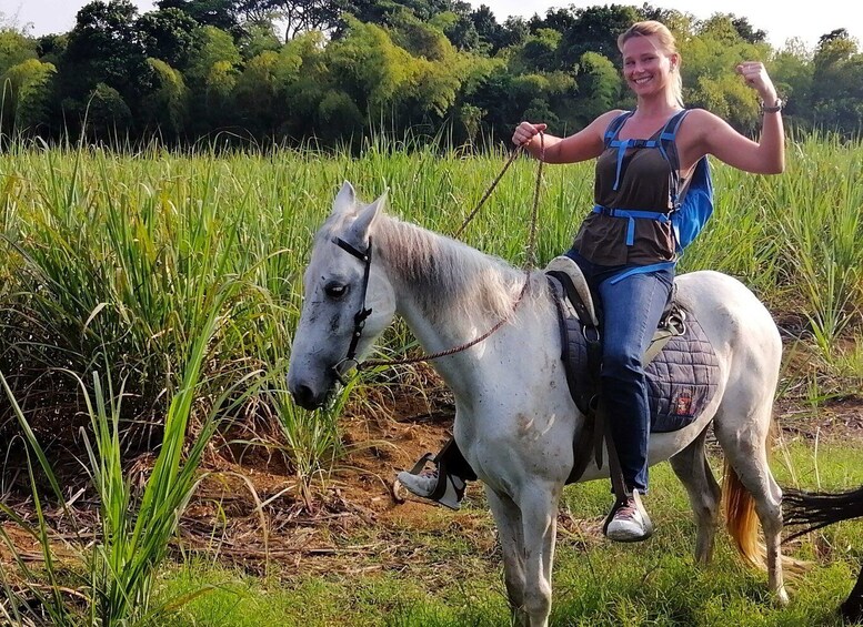 Picture 4 for Activity Cali: Horseback Riding