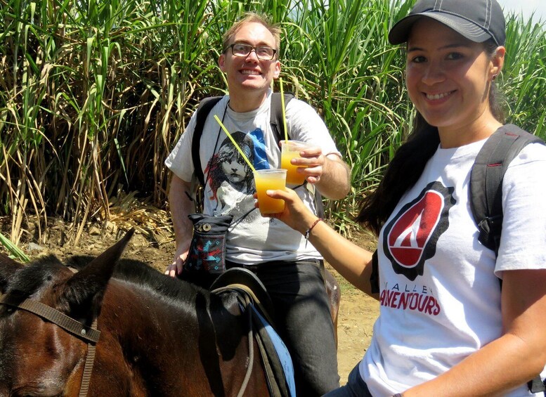 Picture 1 for Activity Cali: Horseback Riding