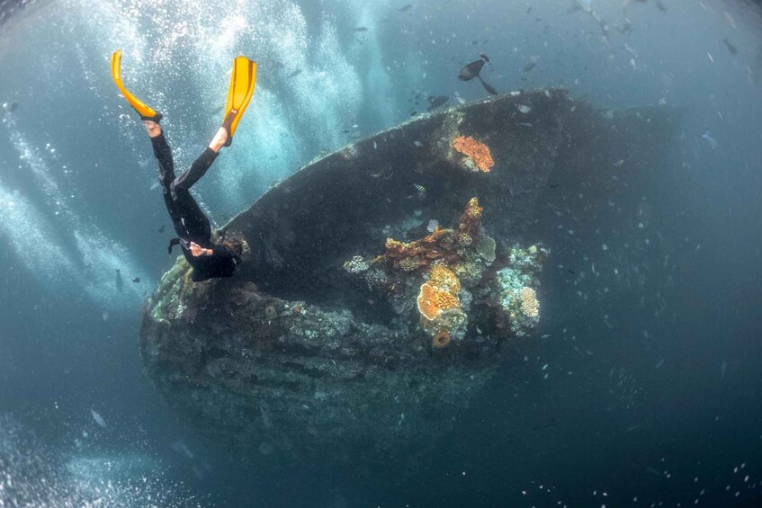 Picture 1 for Activity Tulamben: USAT Liberty Shipwreck Full-Day Snorkeling Trip