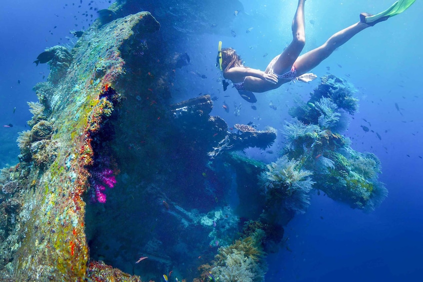 Tulamben: USAT Liberty Shipwreck Full-Day Snorkeling Trip