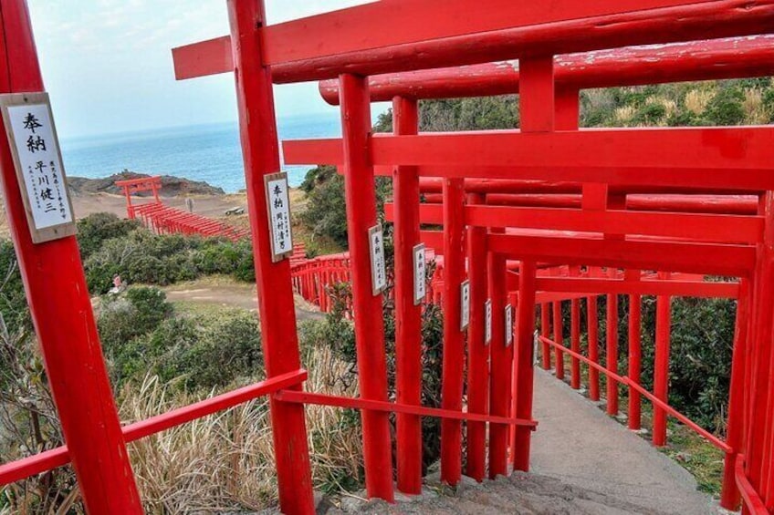 Motonosumi Inari Shrine & Tsunoshima Bridge Day Tour from Fukuoka