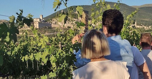 Assisi: Weinverkostung, Gourmet-Paarung, Spaziergang in den Weinbergen