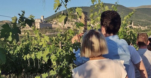 Assisi: Wijnproeven, gourmetten, wandeling door de wijngaarden