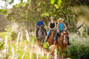1 Hour Scenic Horseback Ride