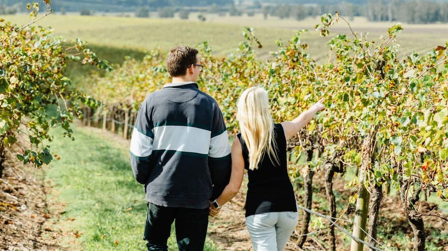 Picture 18 for Activity Private Hunter Valley Wine Tour Departing from Newcastle