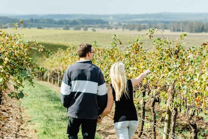 Private Hunter Valley Wine Tour Departing from Newcastle