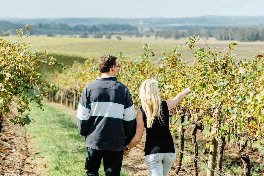 Picture 18 for Activity Private Hunter Valley Wine Tour Departing from Newcastle