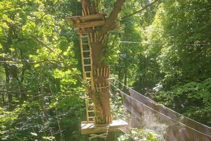 Treetop adventure course in the heart of Poissy