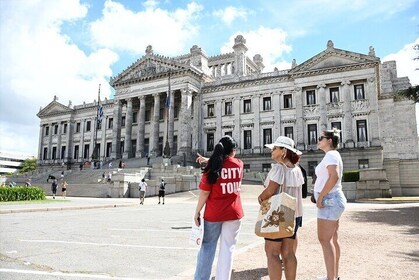 Private Tour of Montevideo