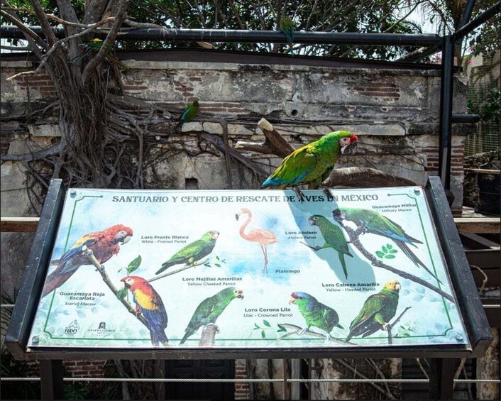 Picture 3 for Activity Mazatlán: City Tour & Observatorio 1872 (a historical sense)