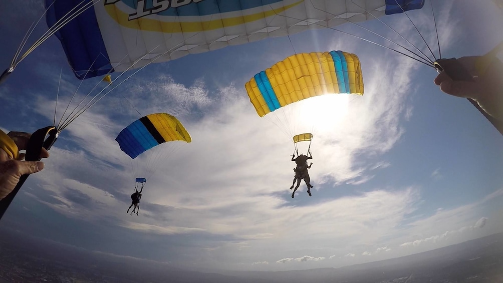 Show item 5 of 7. View of skydivers with parachutes deployed over Gold Coast