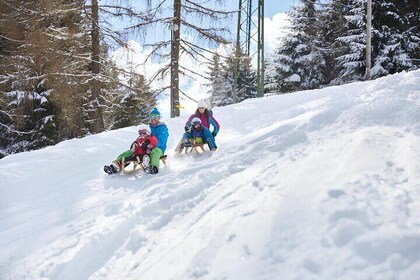 Private Guided Tobogganing Adventure to Birgitzer Alm