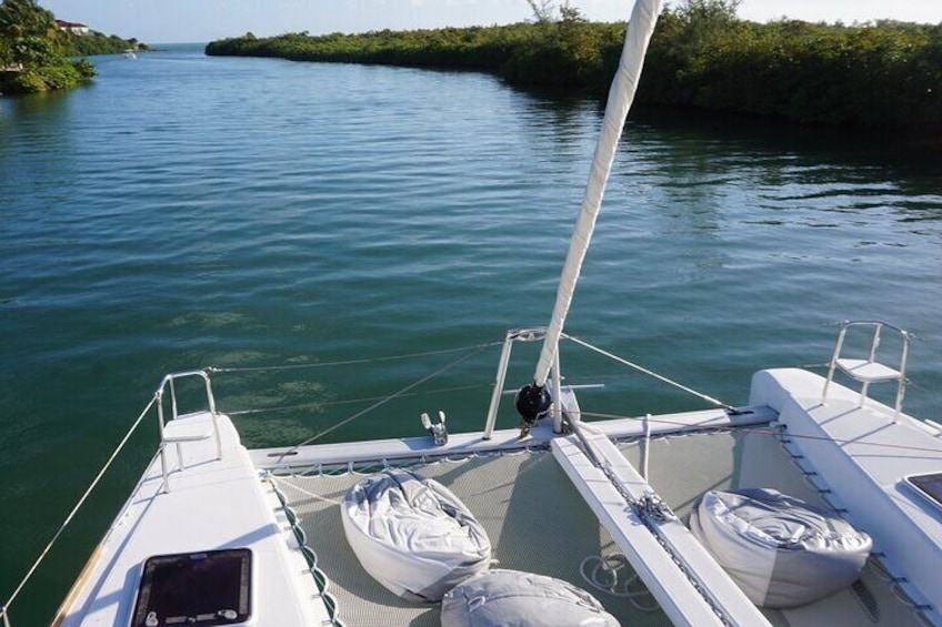 Private Luxury Catamaran Tour in Stingray City and Snorkel 