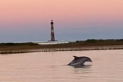 Folly River Morris Island Dolphin and Exploration Adventure