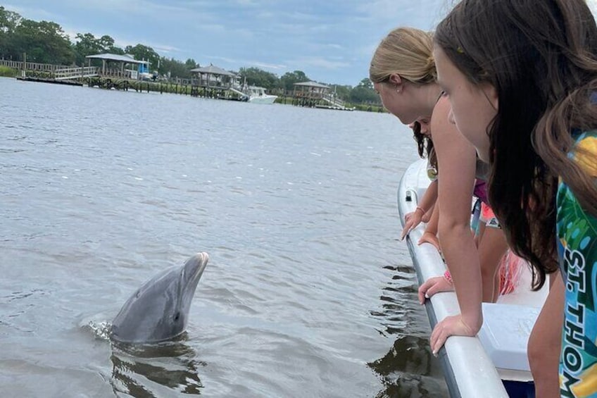 Folly River Morris Island Dolphin and Exploration Adventure 