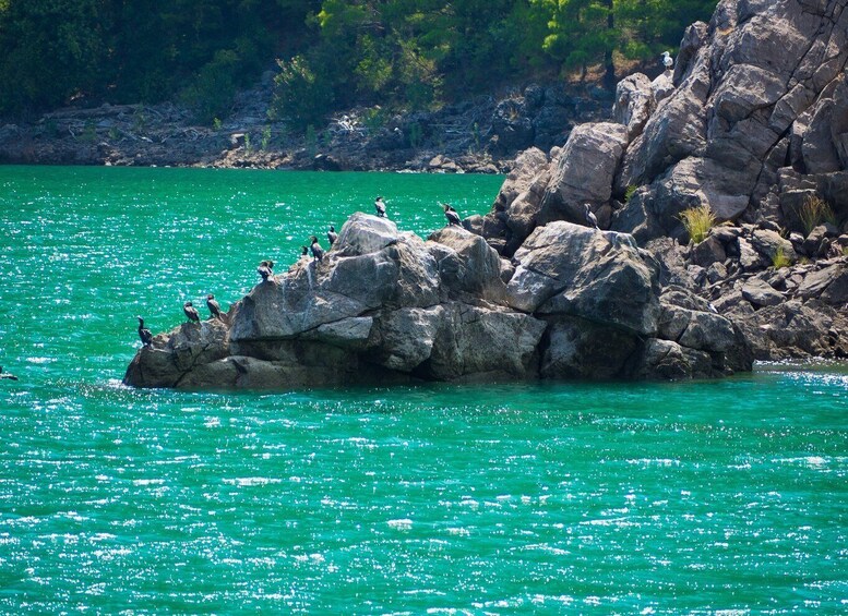 Picture 3 for Activity From Alanya: Green Canyon Boat Trip with Lunch and Drinks