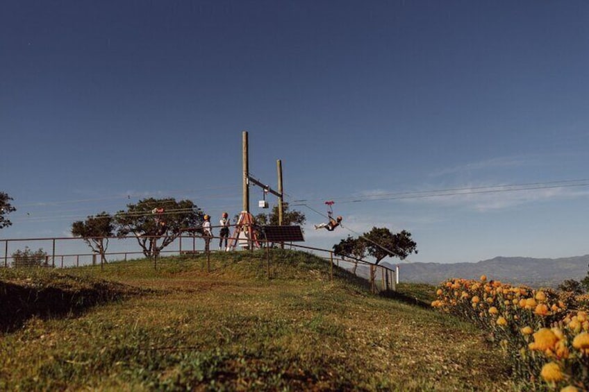 Epic Zipline Tour Over The Santa Ynez Valley