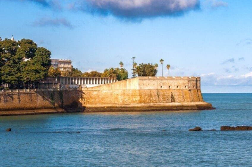 Alameda Podaca