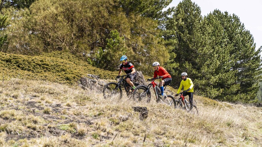 Catania: Full Circuit of Etna in MTB