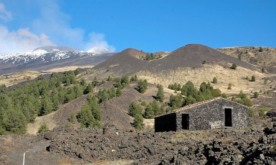 Picture 5 for Activity Catania: Full Circuit of Etna in MTB