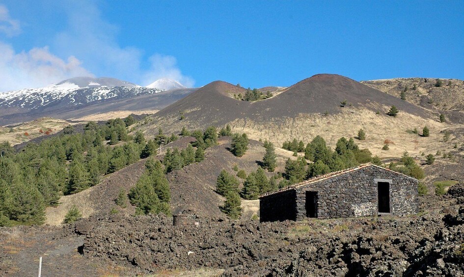 Picture 6 for Activity Catania: Full Circuit of Etna in MTB