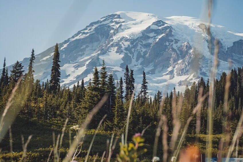 Mount Rainier Full Day Private Tour and Hike (Seattle)