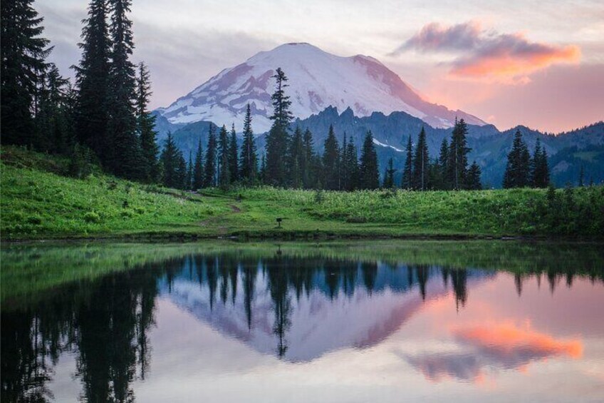 Mount Rainier Full Day Private Tour and Hike (Seattle)