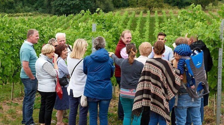 Vineyard tour