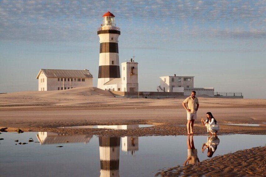 Full Day Guided Port Elizabeth Safari Tour