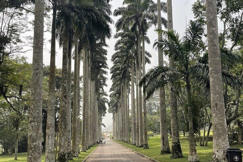 Aburi botanical garden