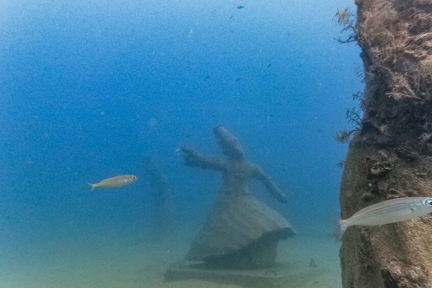 Picture 14 for Activity From city of Side: Full-Day Scuba Diving in Manavgat