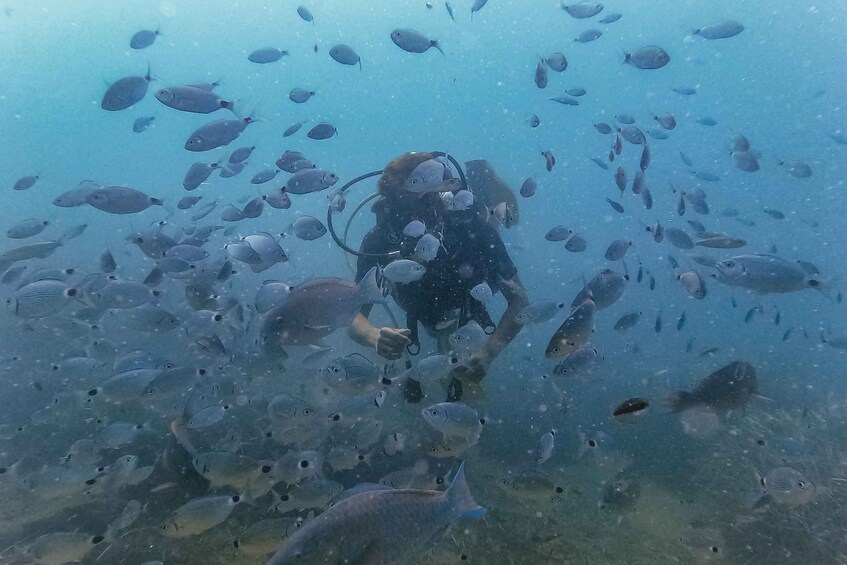 Picture 11 for Activity From city of Side: Full-Day Scuba Diving in Manavgat