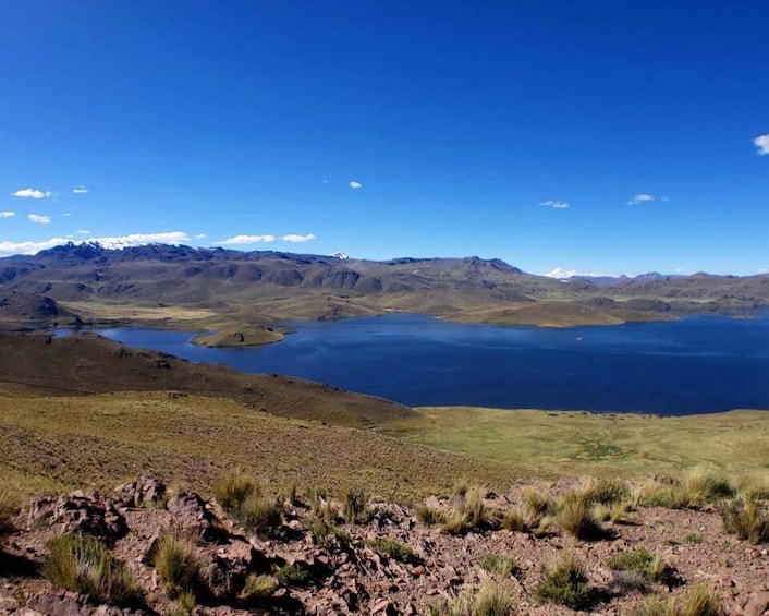 Picture 4 for Activity From Arequipa: Colca Canyon Day Tour to Puno