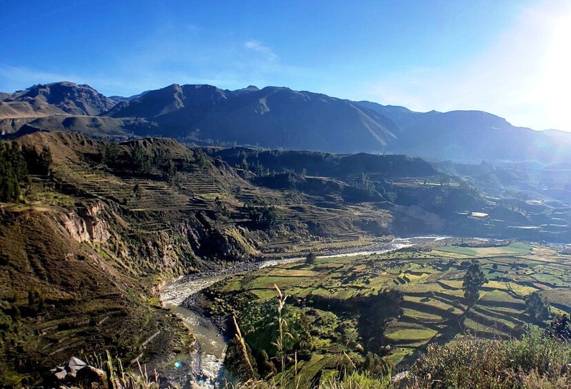 Picture 2 for Activity From Arequipa: Colca Canyon Day Tour to Puno