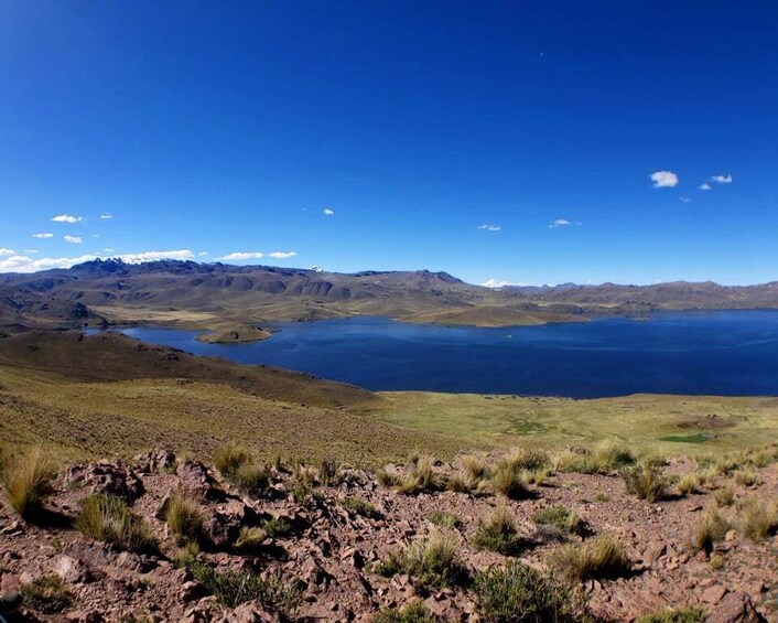 Picture 4 for Activity From Arequipa: Colca Canyon Day Tour to Puno