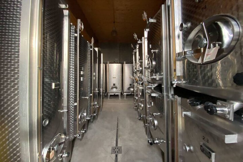 Cellar Visit and Women's Wine Tasting in Gueberschwihr