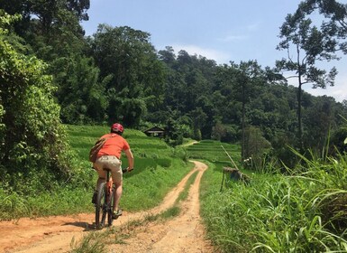 Chiang Mai: Rural Explorer Cycling Tour