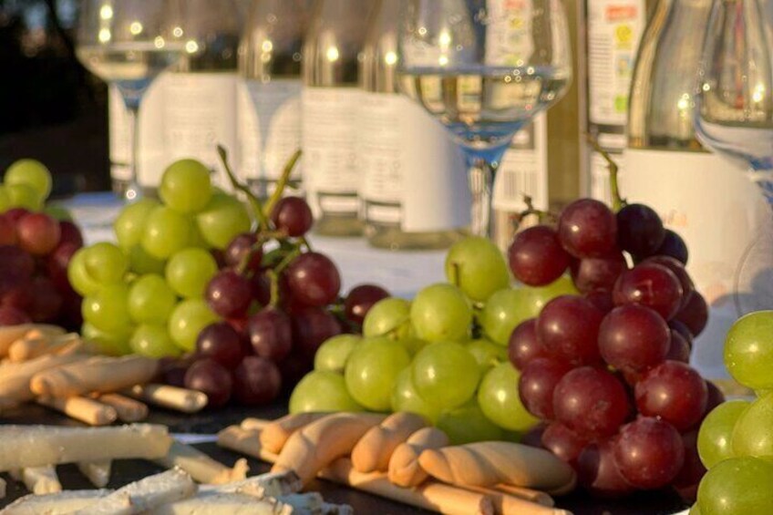 Wine route with tasting and pairing in the Natural Park of La Mata