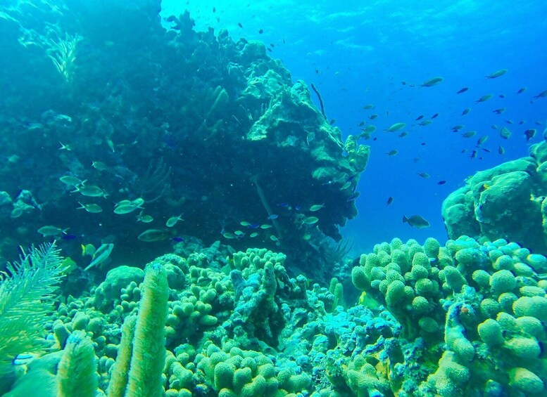 Picture 1 for Activity San Andrés: Walking Under the Sea Experience