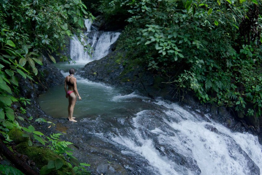 Picture 1 for Activity The Explorer Waterfall Tour