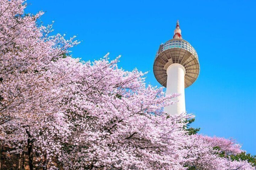 N Seoul Tower (Namsan Tower) Observatory Ticket South Korea