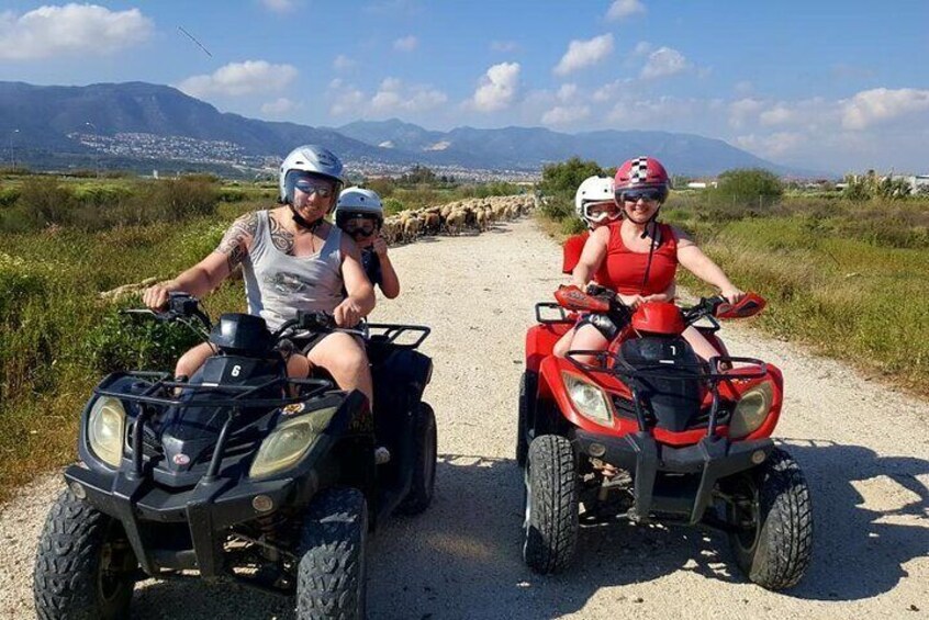 Quad Bikes for Guided Tours.
