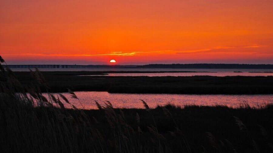 1.25-Hour Private Party Sunset Cruise in Ocean City, MD