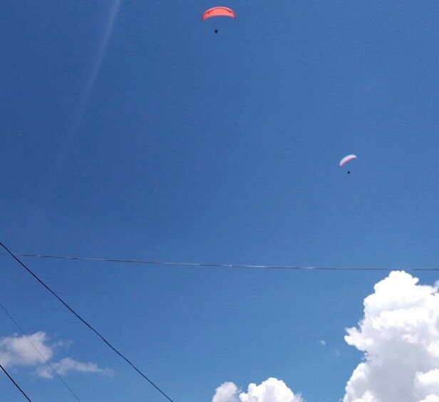 Picture 6 for Activity Medellín: Paragliding in the Colombian Andes