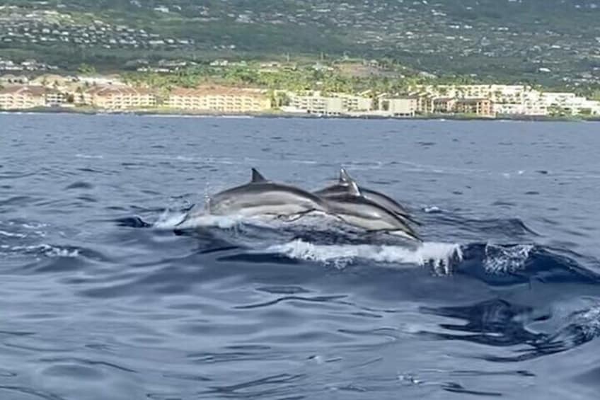 4 Hour Private Charter in Kona