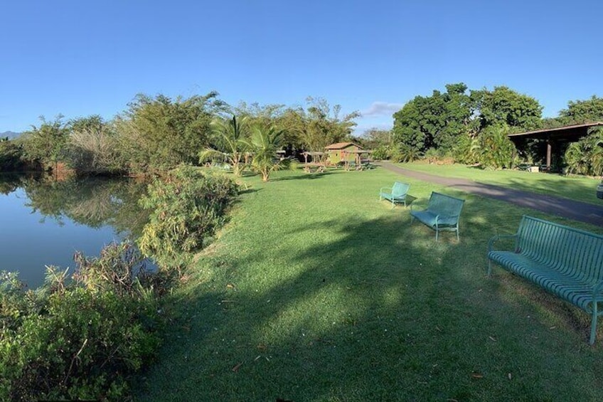 4 Hours Kayaking Experience in Haleiwa with Lunch