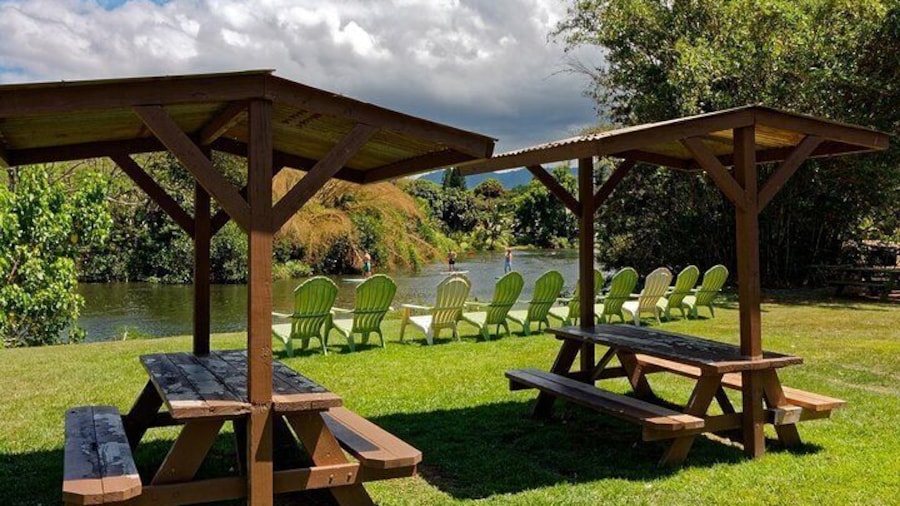 North Shore Farm: Anahulu River, Kayak-Sup, Turtles, Lunch & More