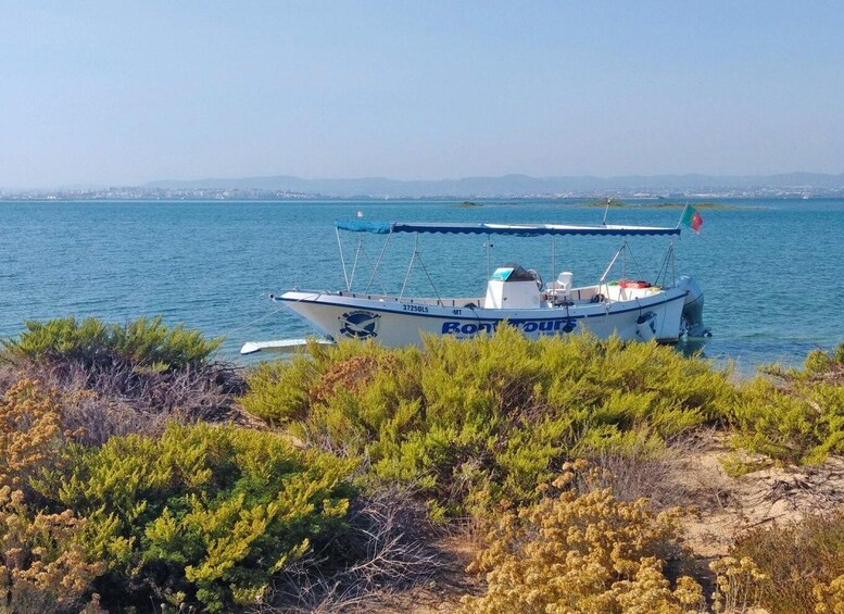 Olhão: Private Boat Tour to Ria Formosa