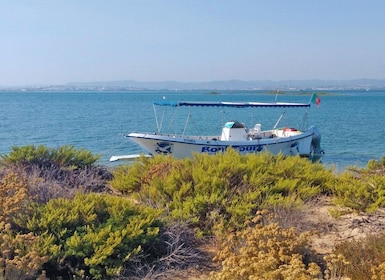 Olhão: tour privado en barco a Ria Formosa